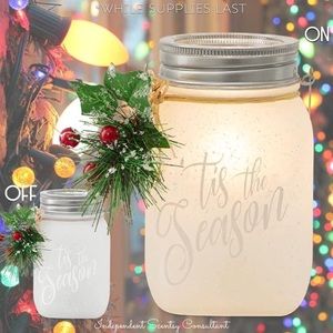 Christmas Scentsy Warmers